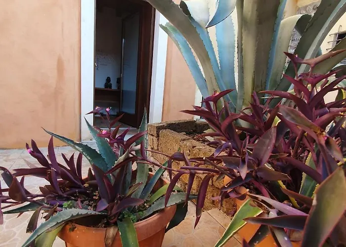 Gesuitirooms Guest house Sona