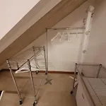 Gesuitirooms 3*