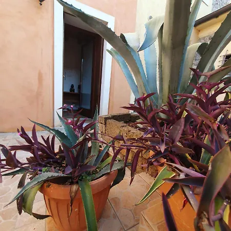 Gesuitirooms Guest house Sona